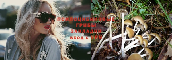 бошки Абаза