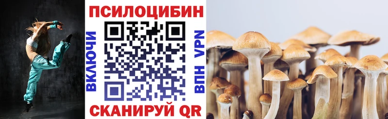 купить наркотик  Дегтярск  Псилоцибиновые грибы GOLDEN TEACHER 