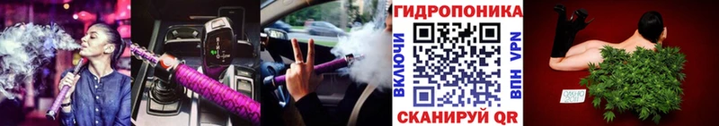 купить наркотики сайты  Дегтярск  Канабис SATIVA & INDICA 